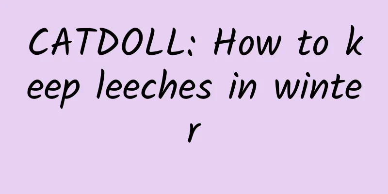 CATDOLL: How to keep leeches in winter