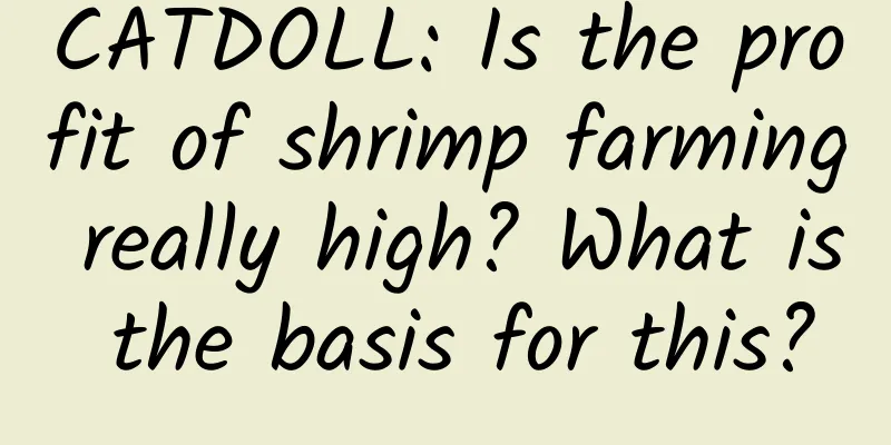 CATDOLL: Is the profit of shrimp farming really high? What is the basis for this?