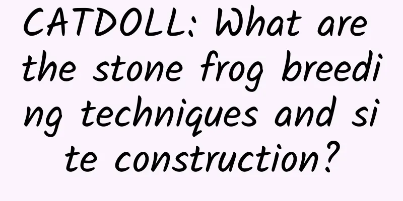 CATDOLL: What are the stone frog breeding techniques and site construction?