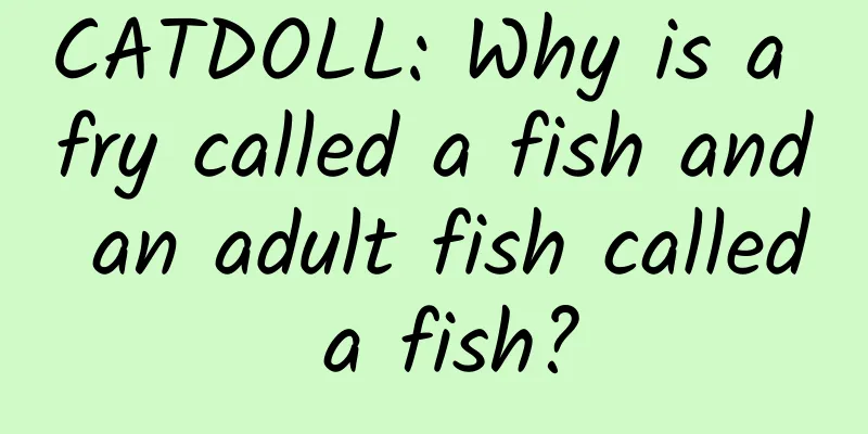 CATDOLL: Why is a fry called a fish and an adult fish called a fish?