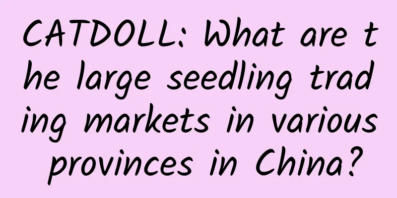 CATDOLL: What are the large seedling trading markets in various provinces in China?