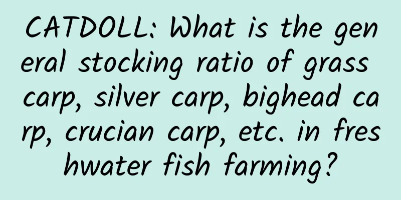 CATDOLL: What is the general stocking ratio of grass carp, silver carp, bighead carp, crucian carp, etc. in freshwater fish farming?