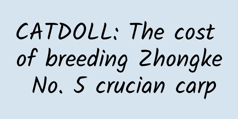 CATDOLL: The cost of breeding Zhongke No. 5 crucian carp