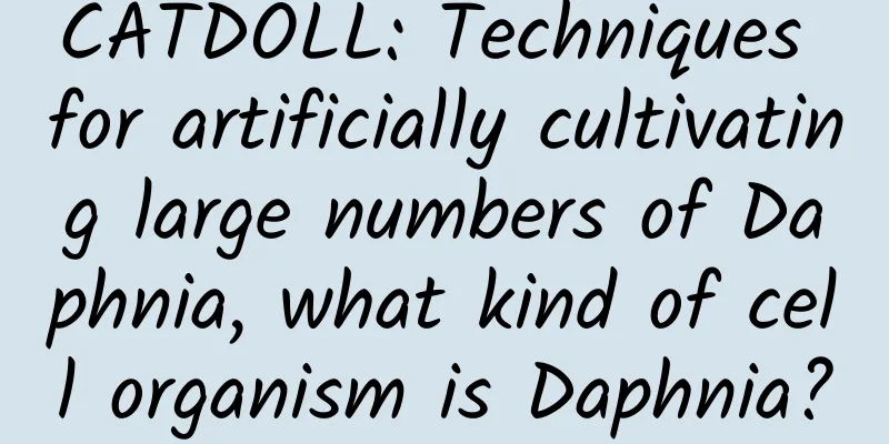 CATDOLL: Techniques for artificially cultivating large numbers of Daphnia, what kind of cell organism is Daphnia?