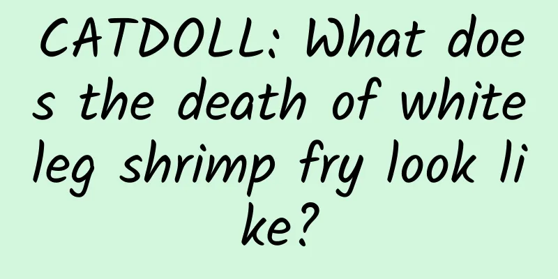 CATDOLL: What does the death of whiteleg shrimp fry look like?