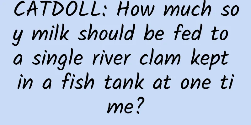 CATDOLL: How much soy milk should be fed to a single river clam kept in a fish tank at one time?