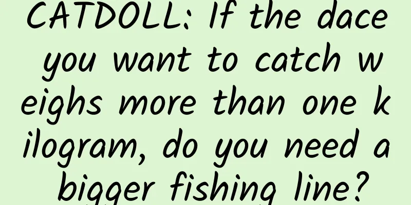 CATDOLL: If the dace you want to catch weighs more than one kilogram, do you need a bigger fishing line?
