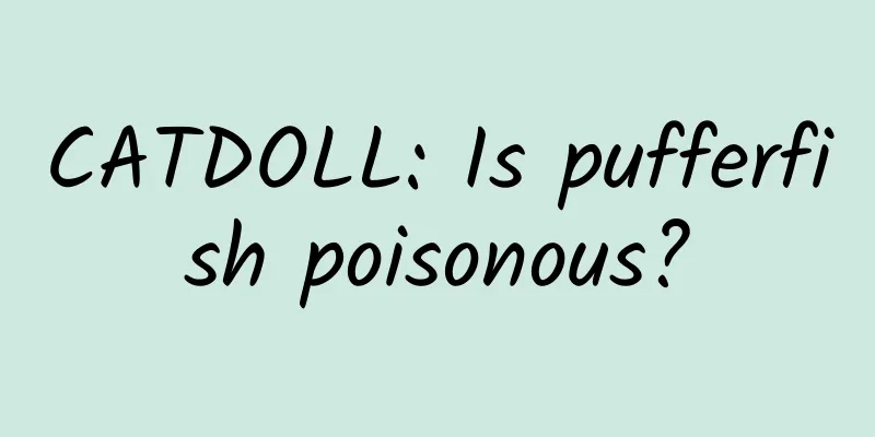 CATDOLL: Is pufferfish poisonous?