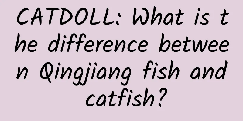 CATDOLL: What is the difference between Qingjiang fish and catfish?