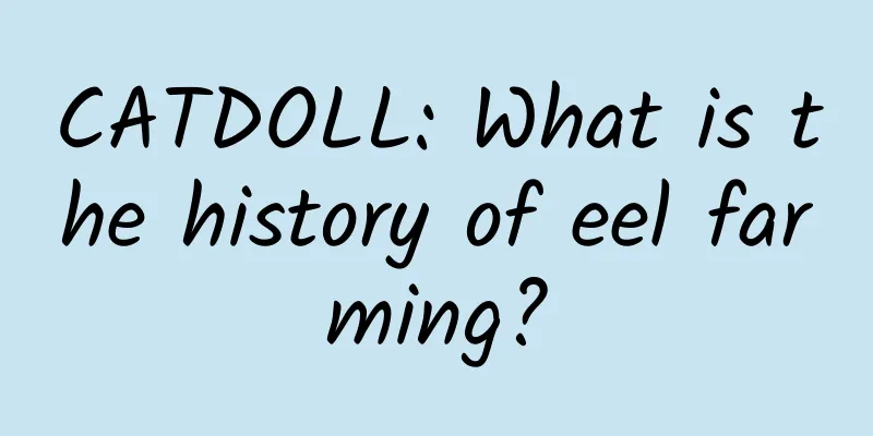 CATDOLL: What is the history of eel farming?