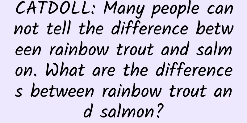 CATDOLL: Many people cannot tell the difference between rainbow trout and salmon. What are the differences between rainbow trout and salmon?