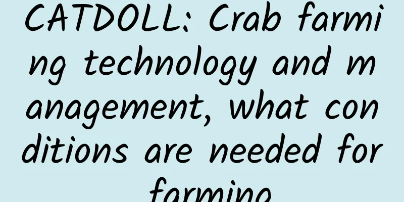 CATDOLL: Crab farming technology and management, what conditions are needed for farming