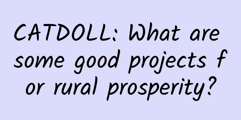 CATDOLL: What are some good projects for rural prosperity?