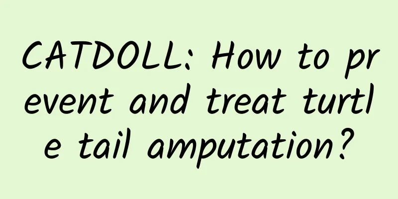 CATDOLL: How to prevent and treat turtle tail amputation?
