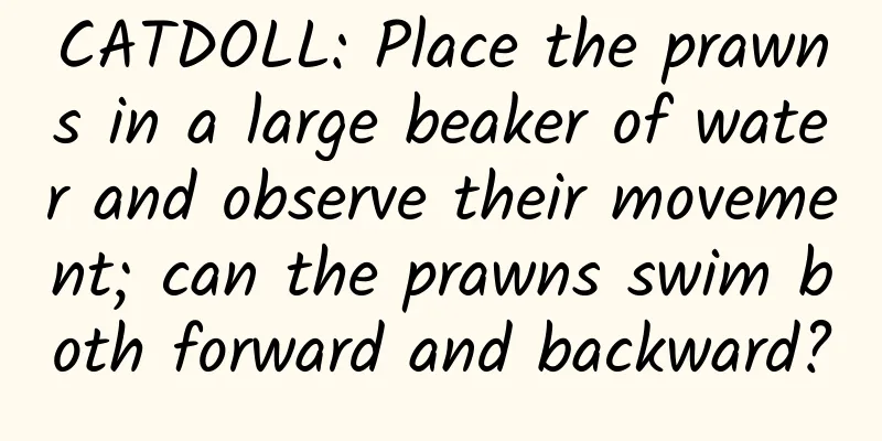 CATDOLL: Place the prawns in a large beaker of water and observe their movement; can the prawns swim both forward and backward?