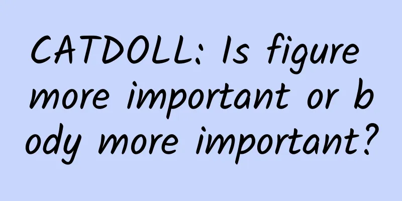 CATDOLL: Is figure more important or body more important?
