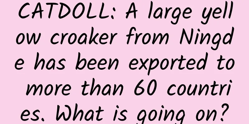 CATDOLL: A large yellow croaker from Ningde has been exported to more than 60 countries. What is going on?