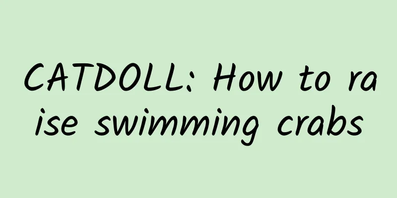 CATDOLL: How to raise swimming crabs