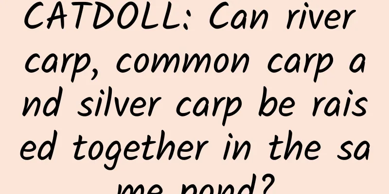 CATDOLL: Can river carp, common carp and silver carp be raised together in the same pond?