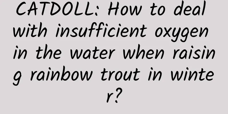 CATDOLL: How to deal with insufficient oxygen in the water when raising rainbow trout in winter?
