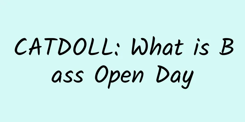 CATDOLL: What is Bass Open Day