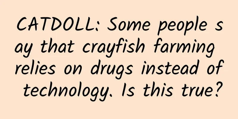 CATDOLL: Some people say that crayfish farming relies on drugs instead of technology. Is this true?