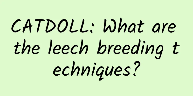 CATDOLL: What are the leech breeding techniques?