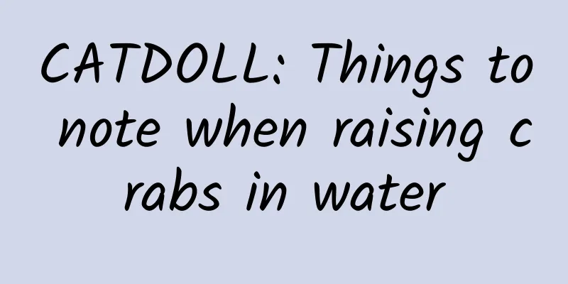 CATDOLL: Things to note when raising crabs in water