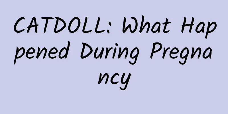 CATDOLL: What Happened During Pregnancy