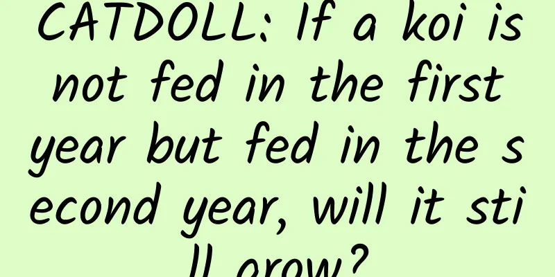CATDOLL: If a koi is not fed in the first year but fed in the second year, will it still grow?