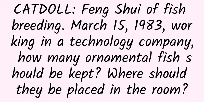CATDOLL: Feng Shui of fish breeding. March 15, 1983, working in a technology company, how many ornamental fish should be kept? Where should they be placed in the room?