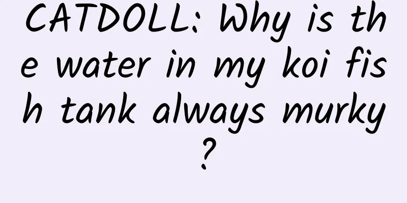 CATDOLL: Why is the water in my koi fish tank always murky?