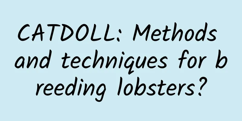 CATDOLL: Methods and techniques for breeding lobsters?