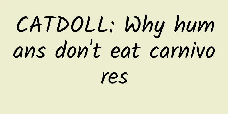 CATDOLL: Why humans don't eat carnivores