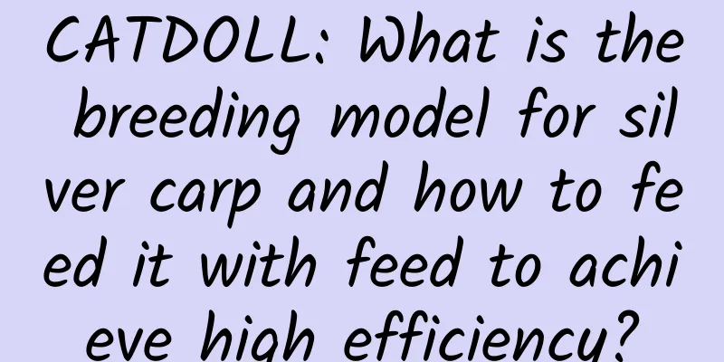 CATDOLL: What is the breeding model for silver carp and how to feed it with feed to achieve high efficiency?