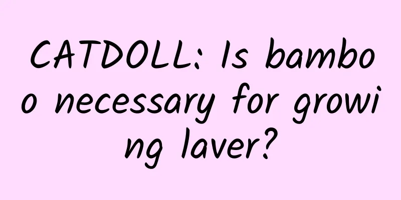 CATDOLL: Is bamboo necessary for growing laver?