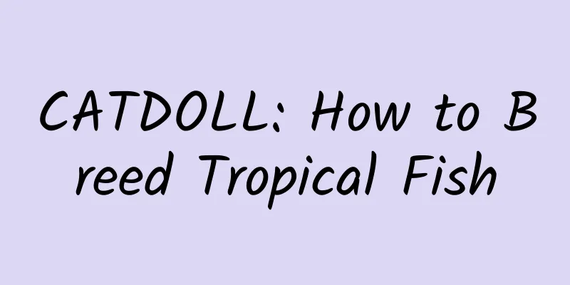 CATDOLL: How to Breed Tropical Fish