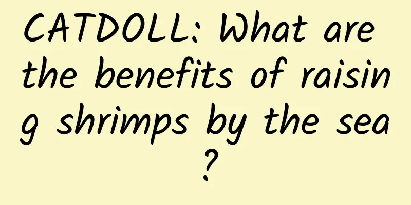 CATDOLL: What are the benefits of raising shrimps by the sea?