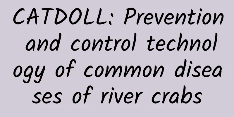 CATDOLL: Prevention and control technology of common diseases of river crabs