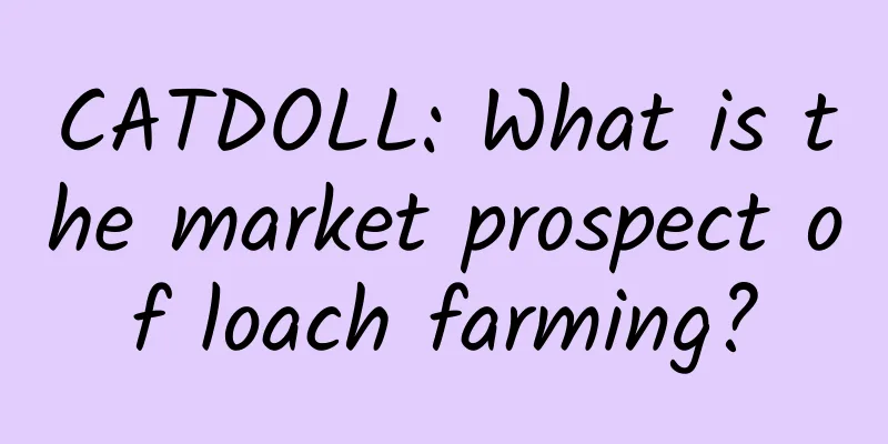CATDOLL: What is the market prospect of loach farming?