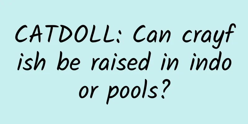 CATDOLL: Can crayfish be raised in indoor pools?