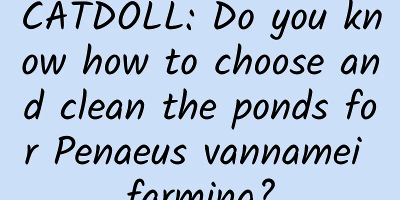 CATDOLL: Do you know how to choose and clean the ponds for Penaeus vannamei farming?