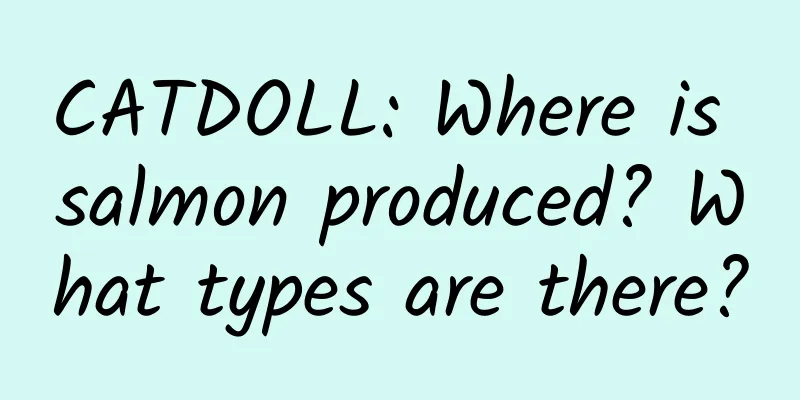 CATDOLL: Where is salmon produced? What types are there?