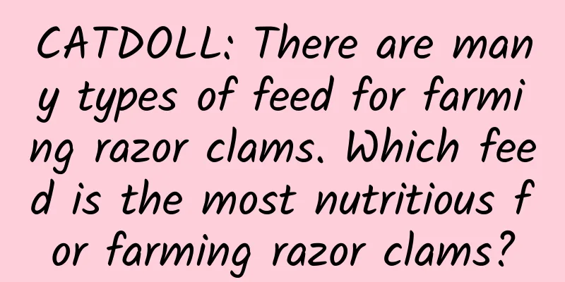 CATDOLL: There are many types of feed for farming razor clams. Which feed is the most nutritious for farming razor clams?