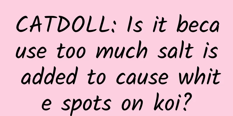 CATDOLL: Is it because too much salt is added to cause white spots on koi?