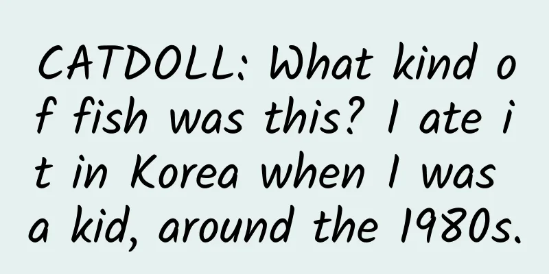 CATDOLL: What kind of fish was this? I ate it in Korea when I was a kid, around the 1980s.