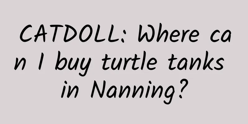 CATDOLL: Where can I buy turtle tanks in Nanning?
