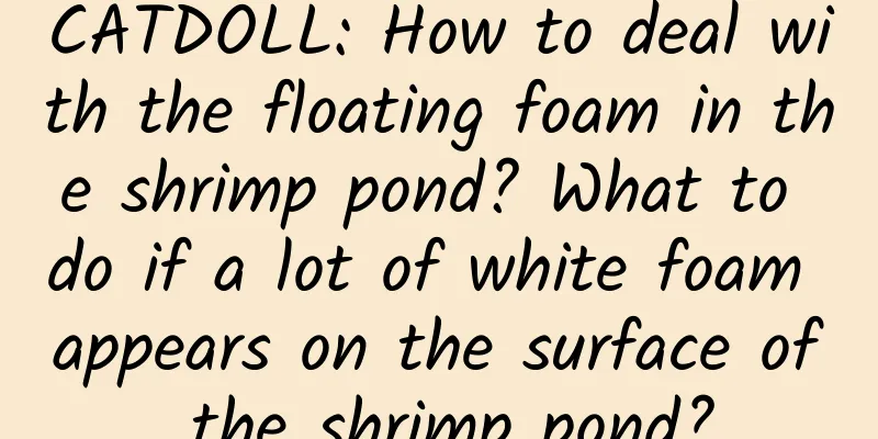 CATDOLL: How to deal with the floating foam in the shrimp pond? What to do if a lot of white foam appears on the surface of the shrimp pond?