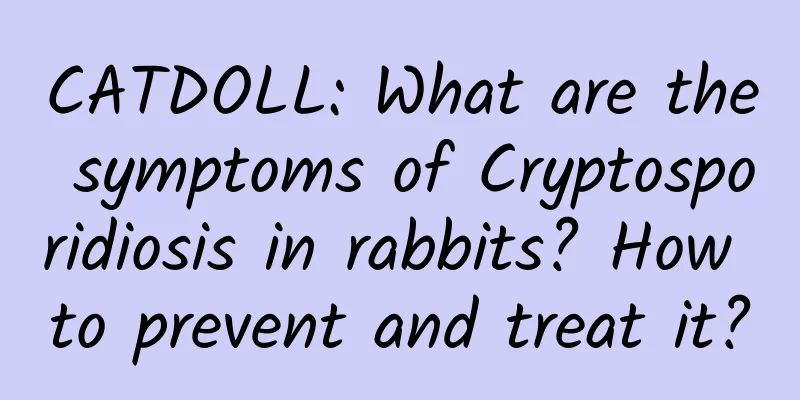 CATDOLL: What are the symptoms of Cryptosporidiosis in rabbits? How to prevent and treat it?