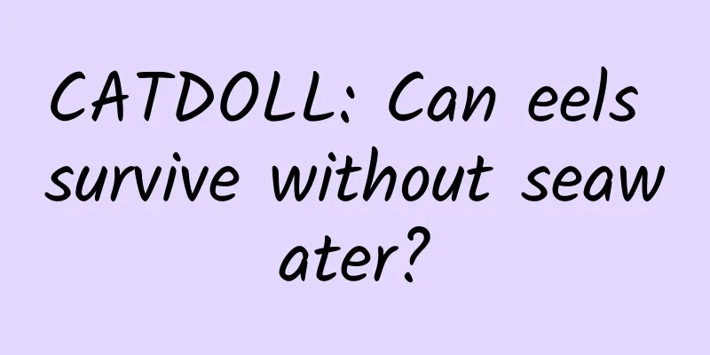CATDOLL: Can eels survive without seawater?